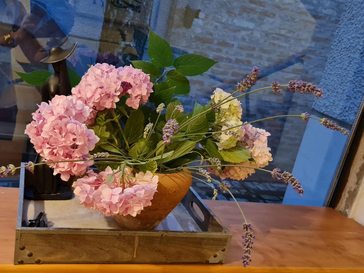 Garden Center Apartment Novi Sad Luaran gambar
